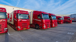 20251122-Daemen-00196